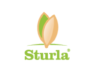 Sturla